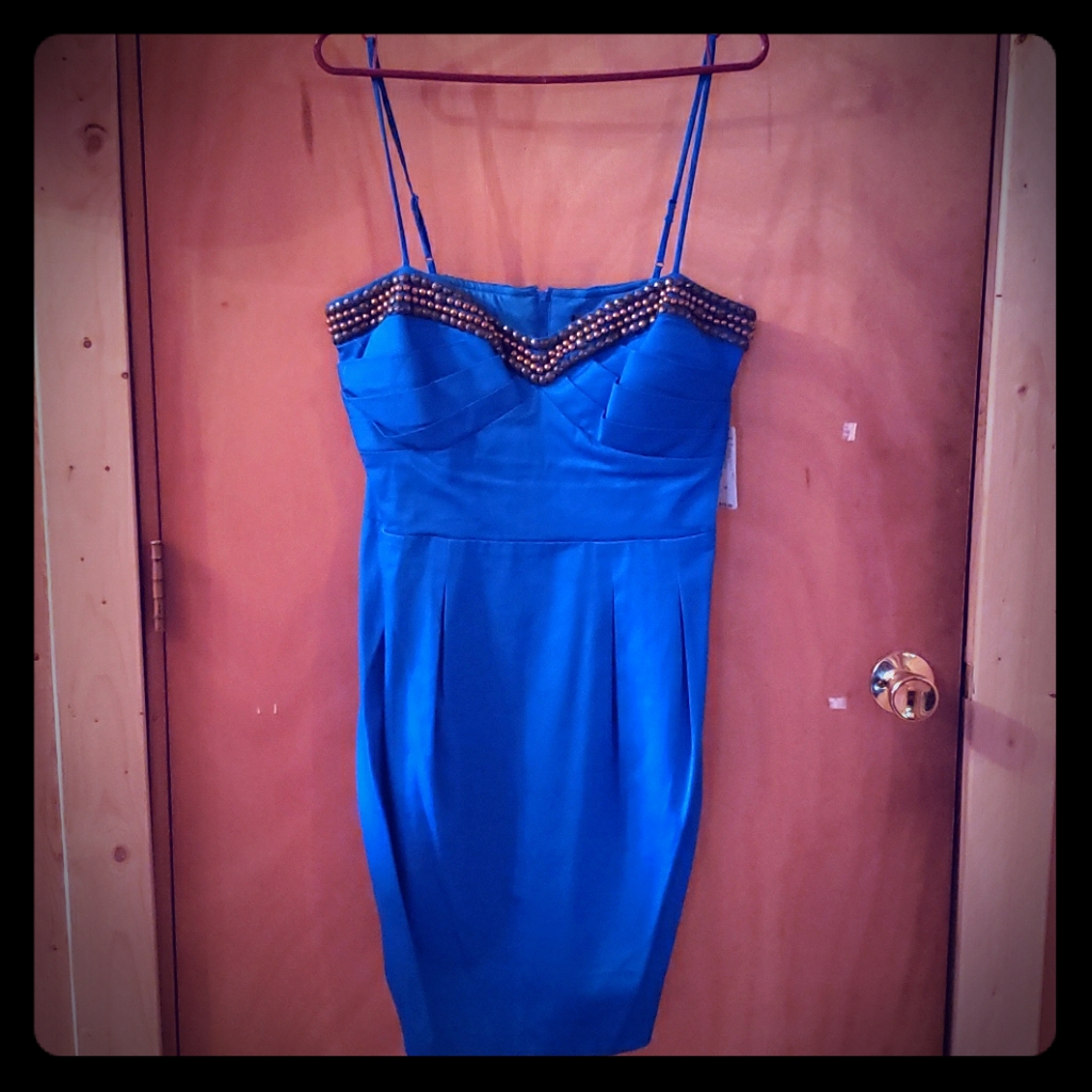 Bisou Bisou Dress